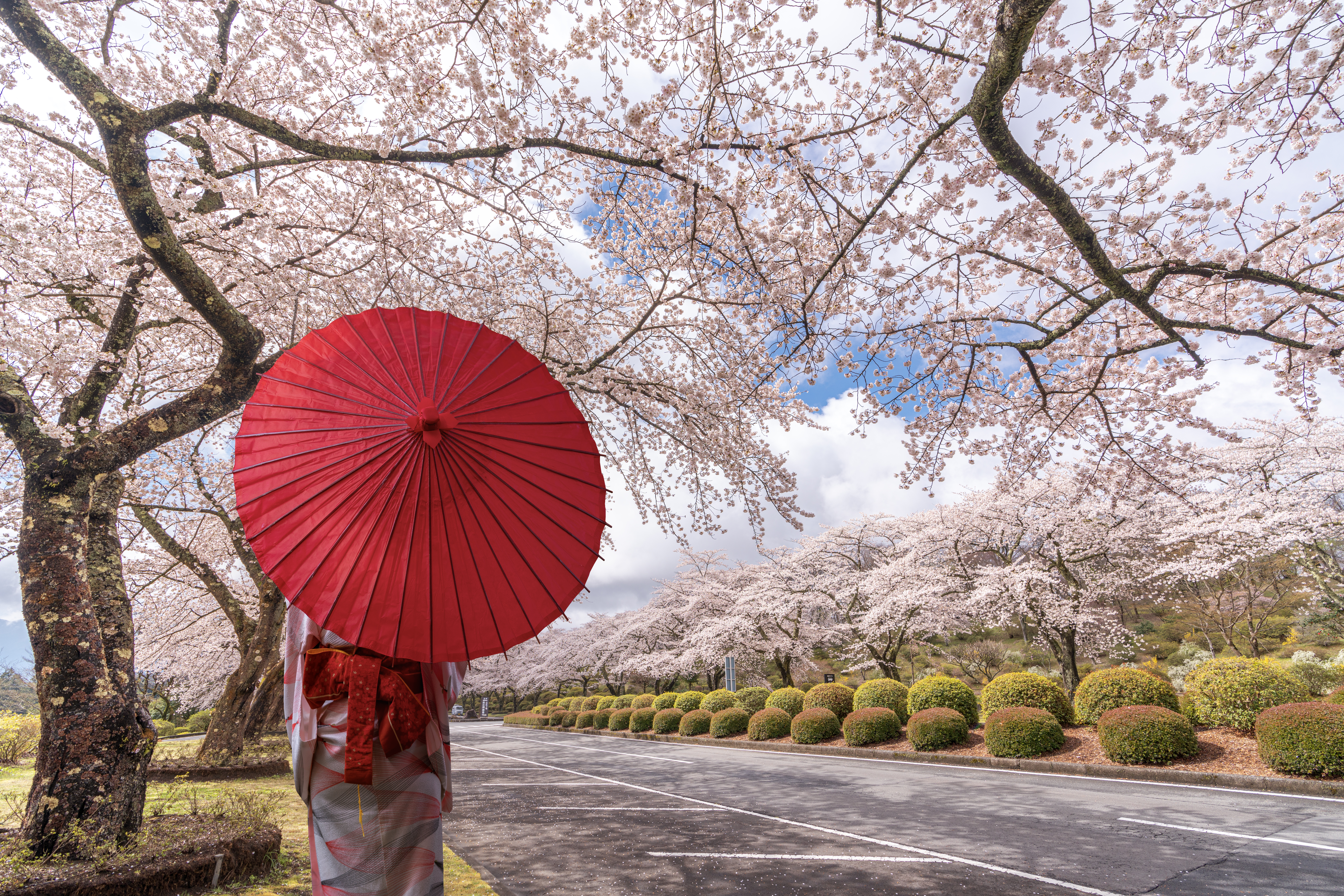 top attractions